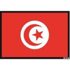 BANDIERA TUNISIA 20X30CM